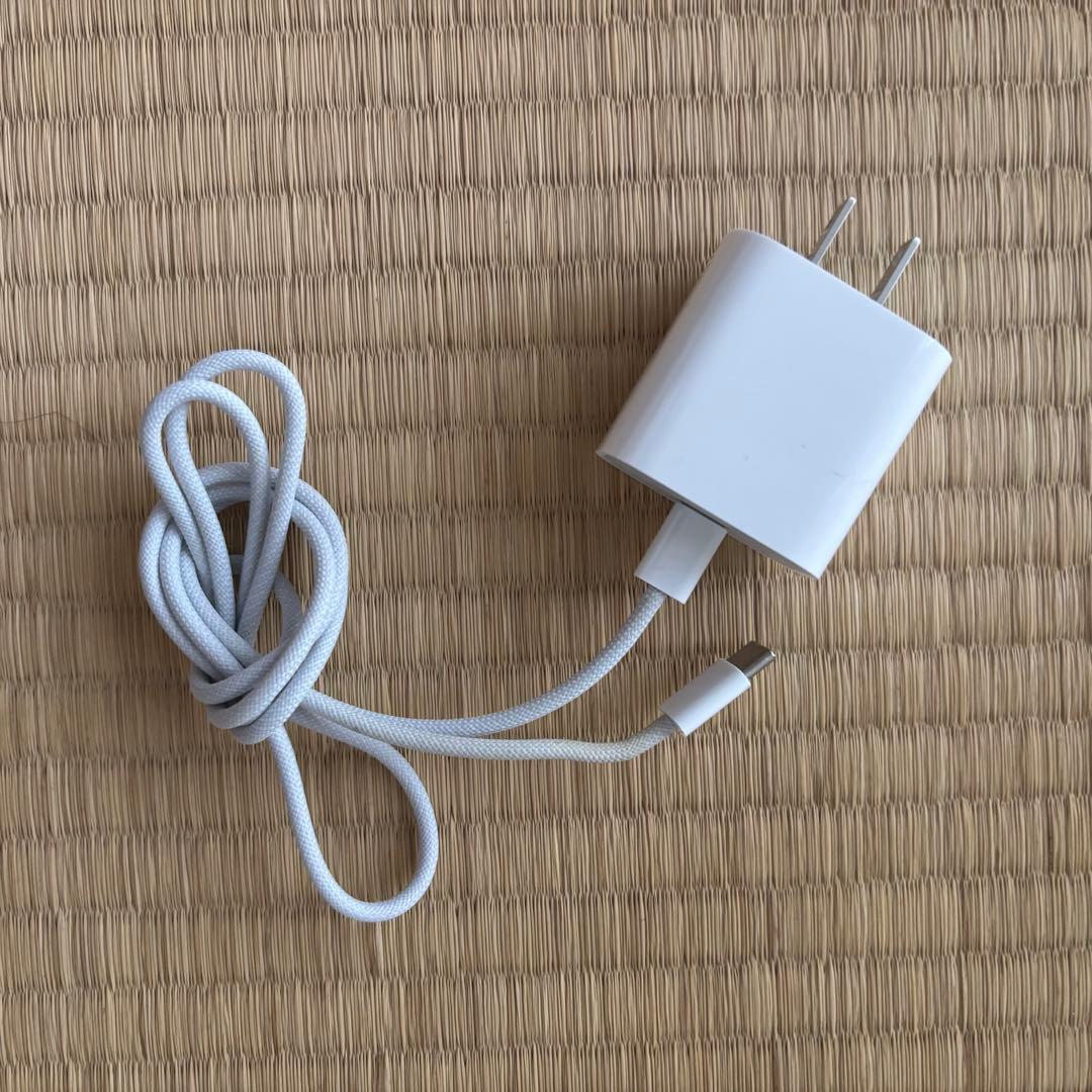 iPad（第10世代)純正ケース・充電器・アップルペンシル Wi-Fi256GB