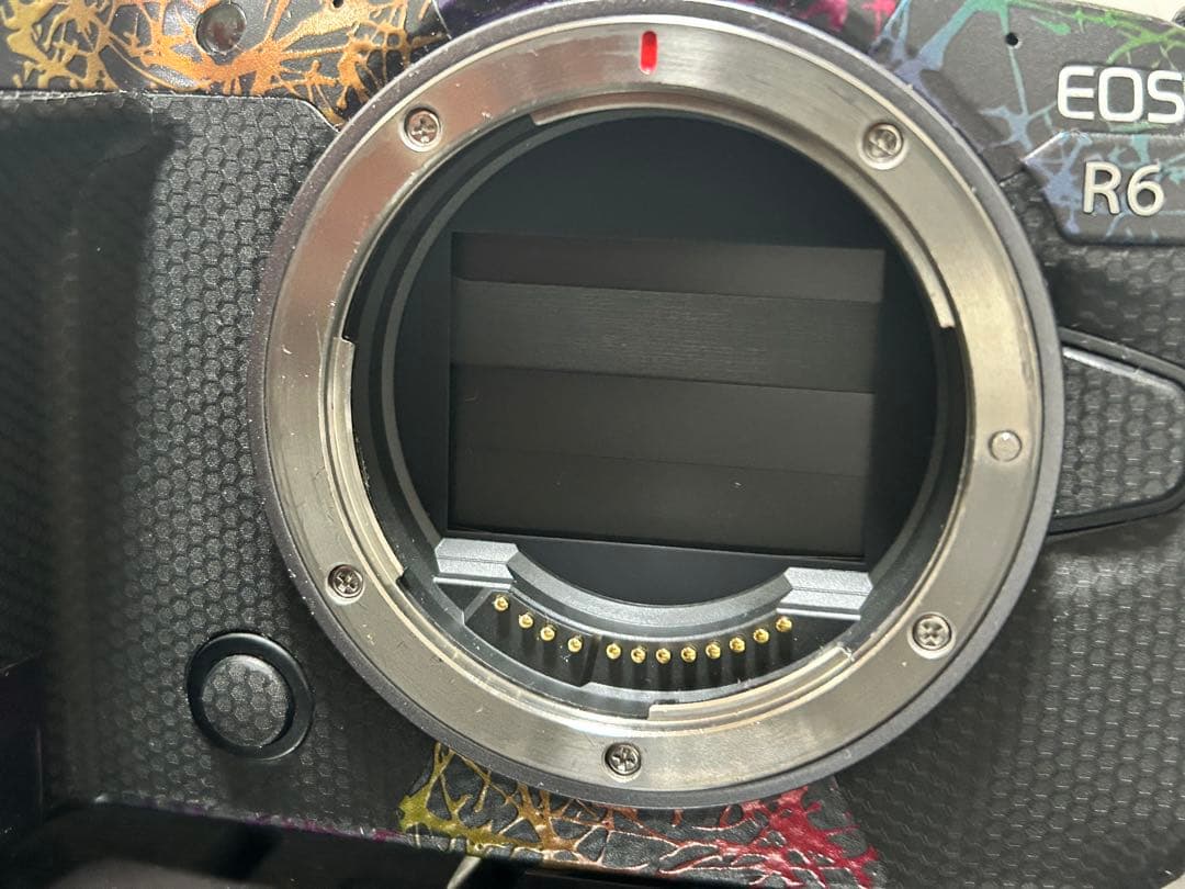 Canon EOS R6 カラフルデザイン セット