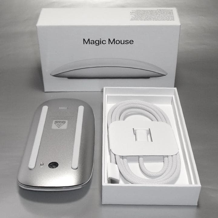 最新Magic Mouse(USB-C)A3204silver.iMac用限定色