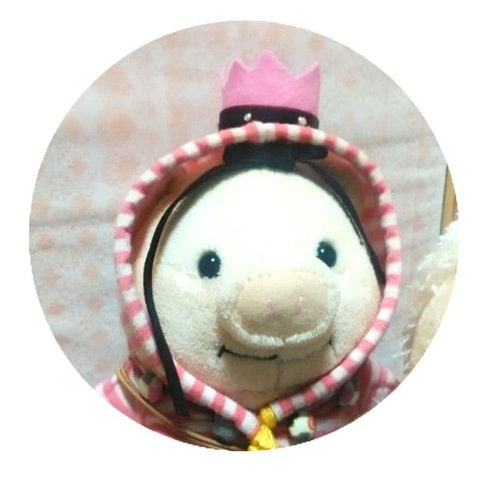 ぽょみちゃん専用