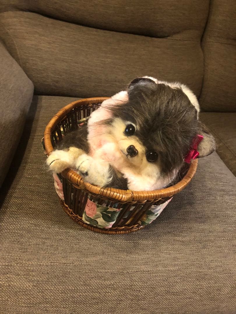 リボーンドール⭐️小犬⭐️抱き人形❤️こぐま❤️