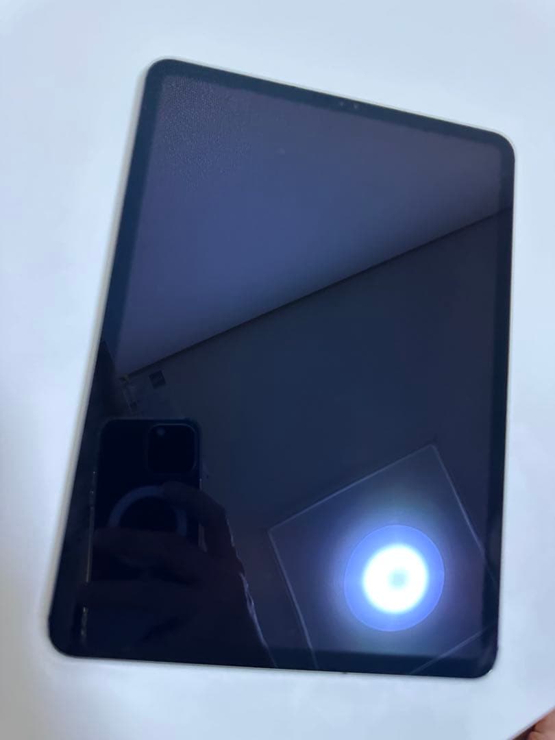 iPad Pro 11 (第1世代) 64GB WiFi + セルラー
