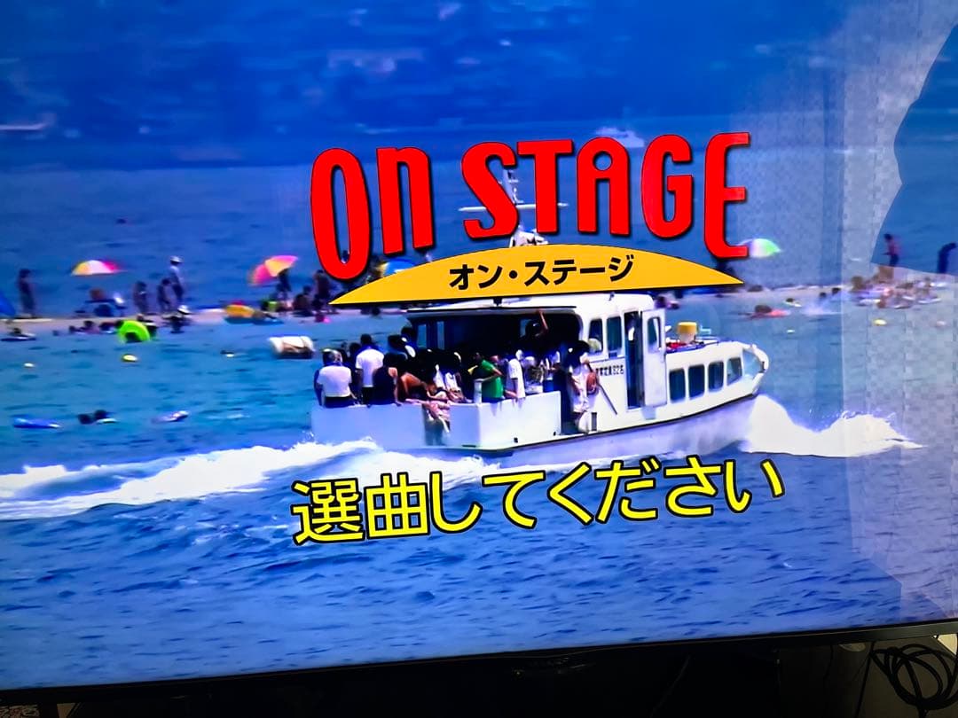 ON STAGE カラオケマイクセット