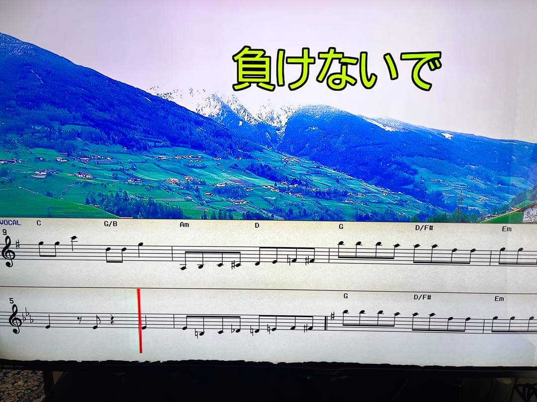 ON STAGE カラオケマイクセット