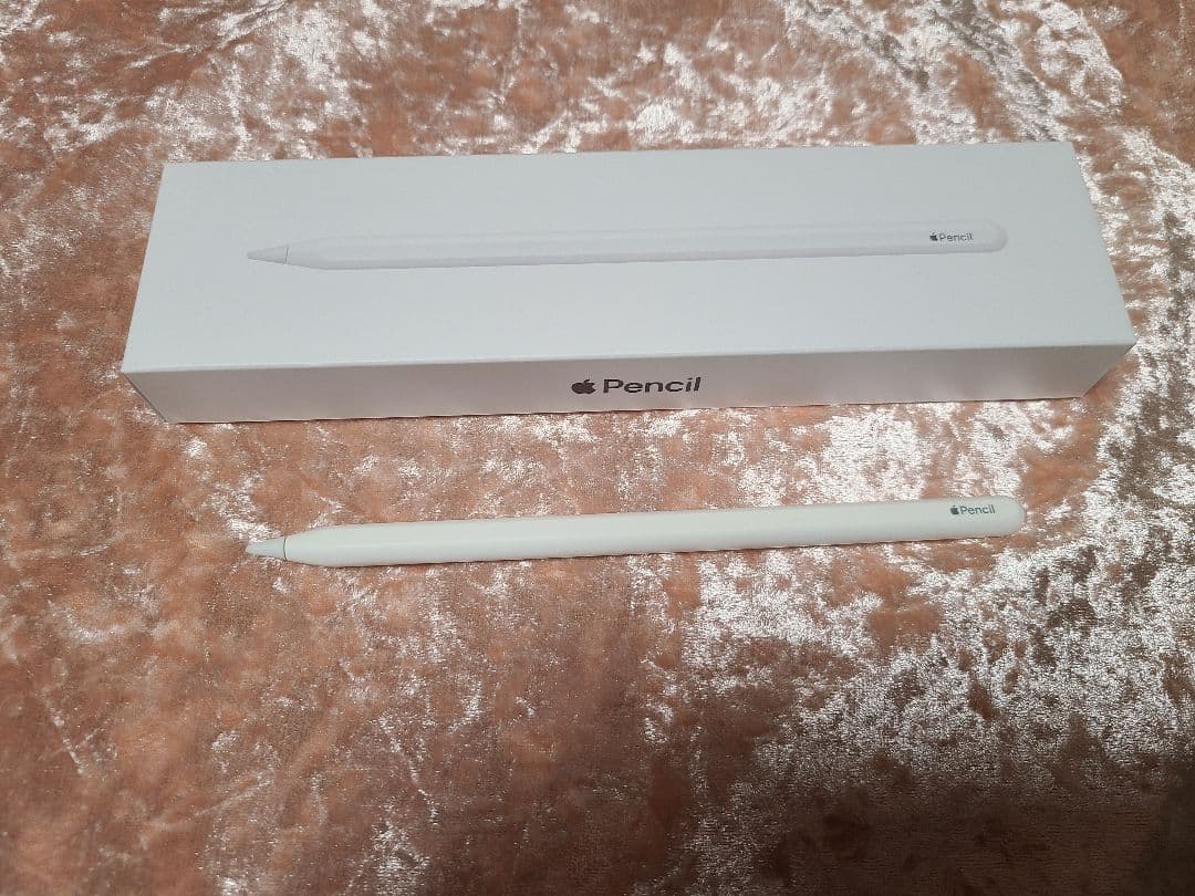 Apple Pencil 第2世代 + Apple Pencil Tips