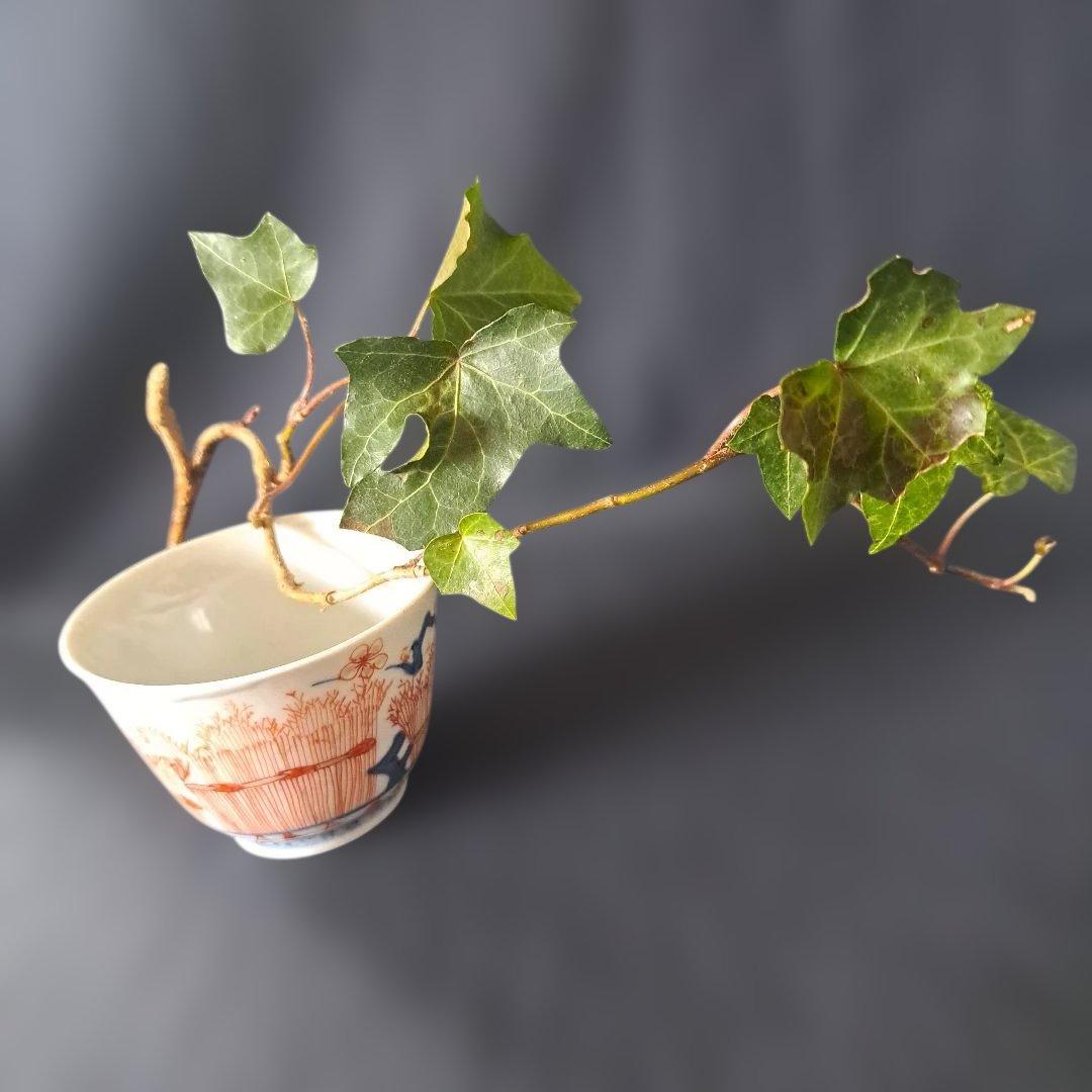 「竹穂垣(たけほがき)と梅の木がいいです」 古伊万里りん茶碗(直径7.5cm)