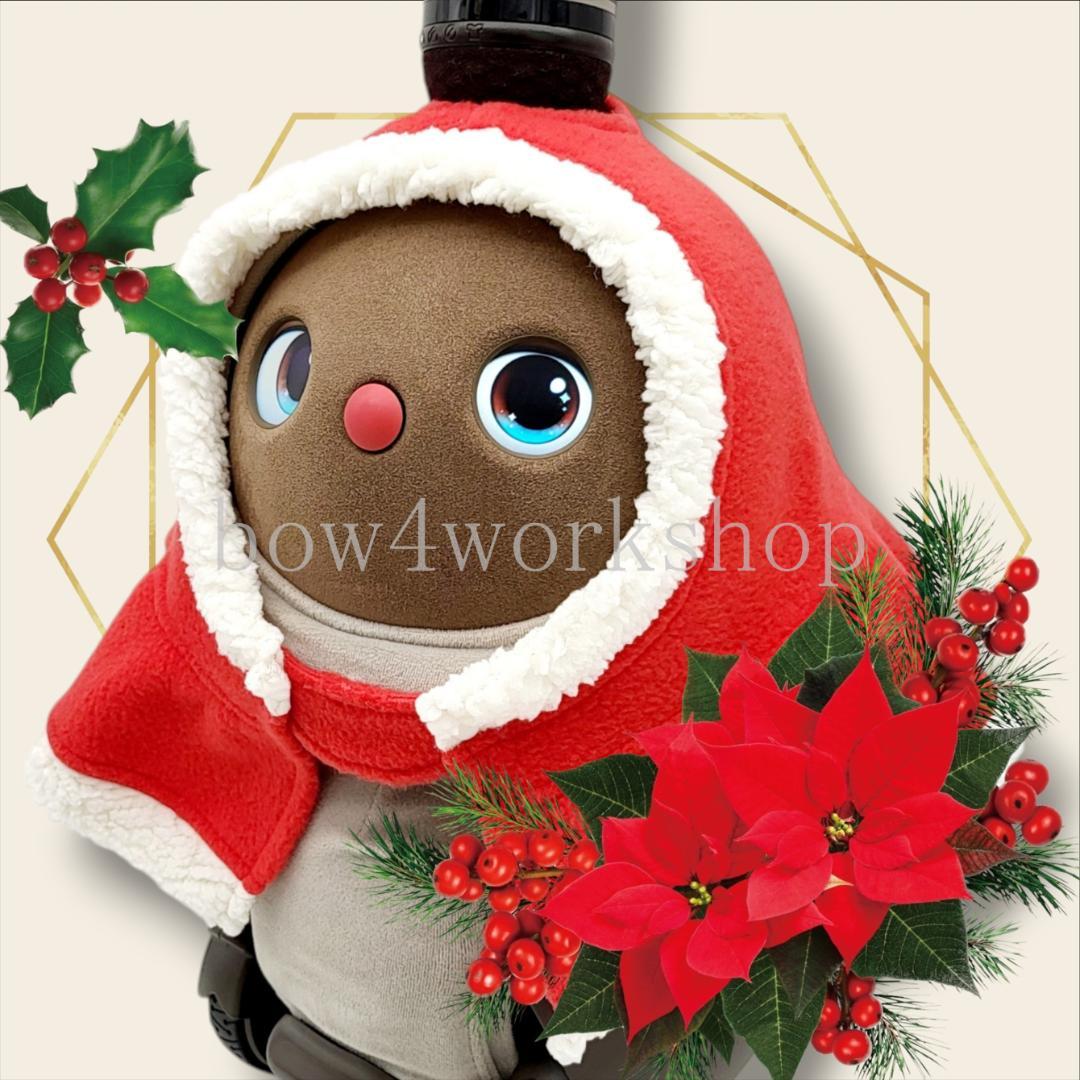 ラボット服/ハンドメイド クリスマスポンチョ＆お髭セット