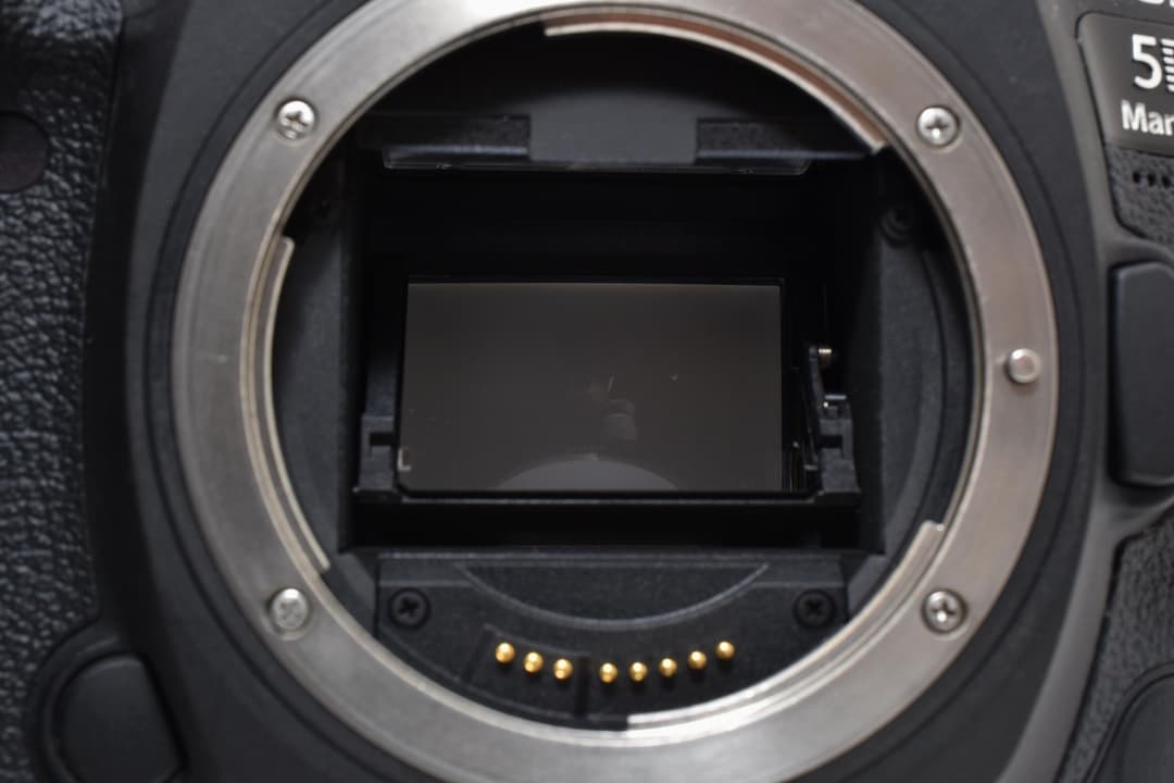 ■ほぼ新品■ キヤノン EOS 5D Mark Ⅳ #C940