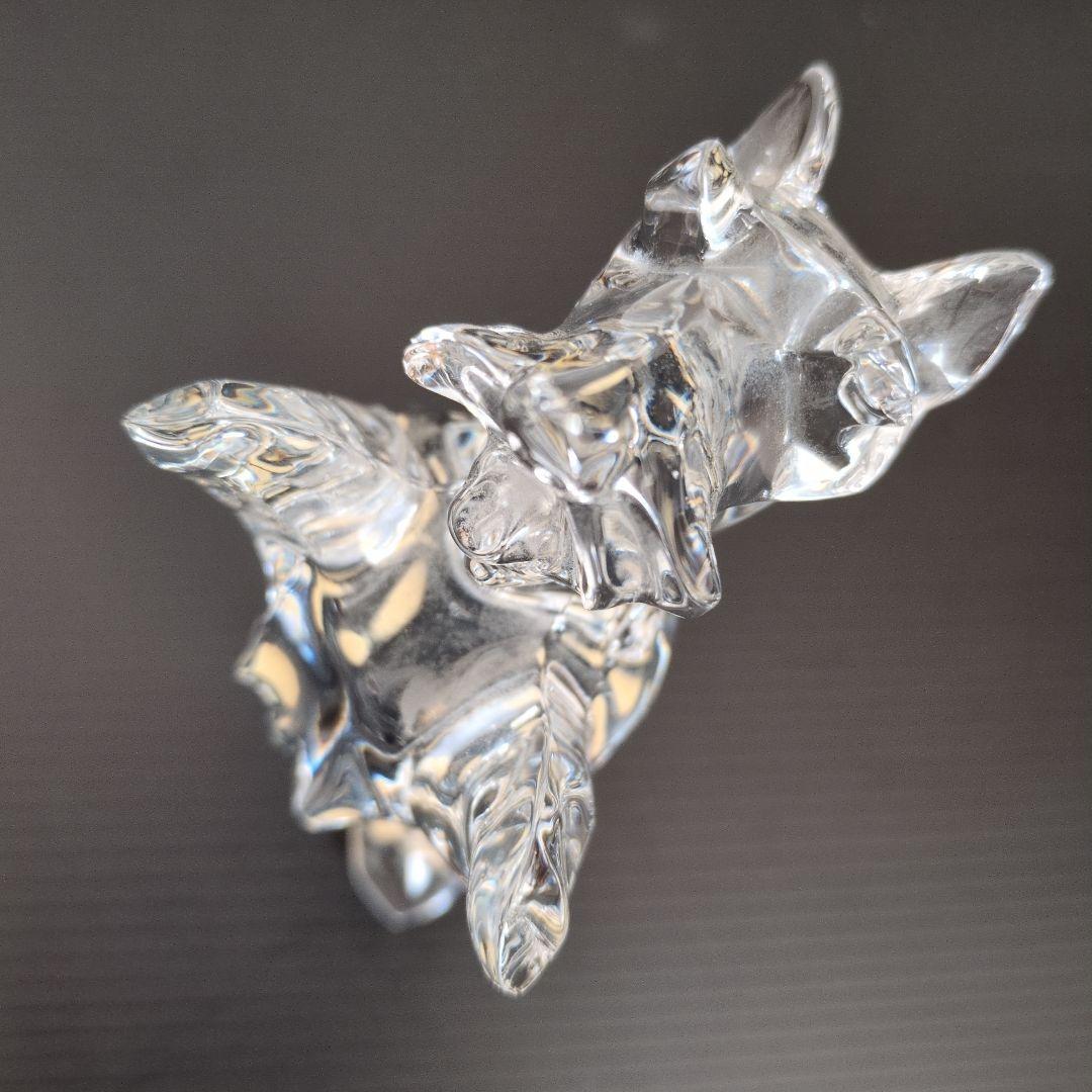 Baccarat　バカラ 　スコティッシュテリア　甘え立ち