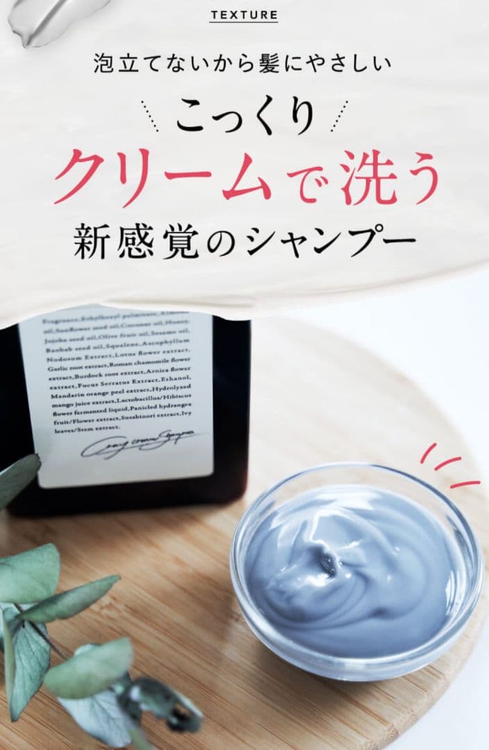 クレイクリームシャンプーモイスト★ヘアエッセンスオイルモイスト★詰め替え用×2個
