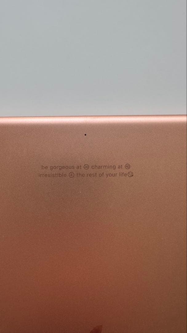 iPad 第8世代 32GB Wi-Fi 本体 / Apple Pencil付