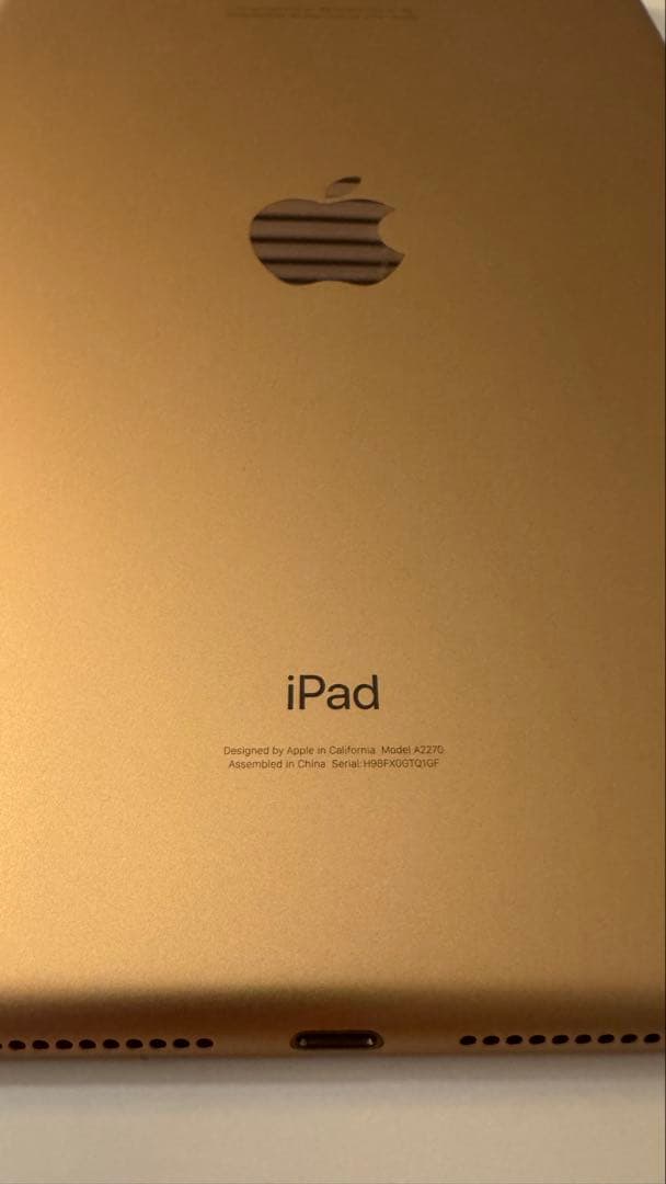 iPad 第8世代 32GB Wi-Fi 本体 / Apple Pencil付