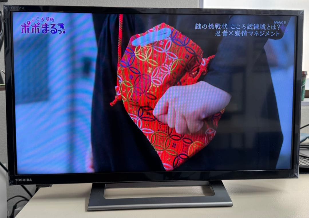 東芝 REGZA テレビ 本体 HDMI 端子 24v34 2022年製