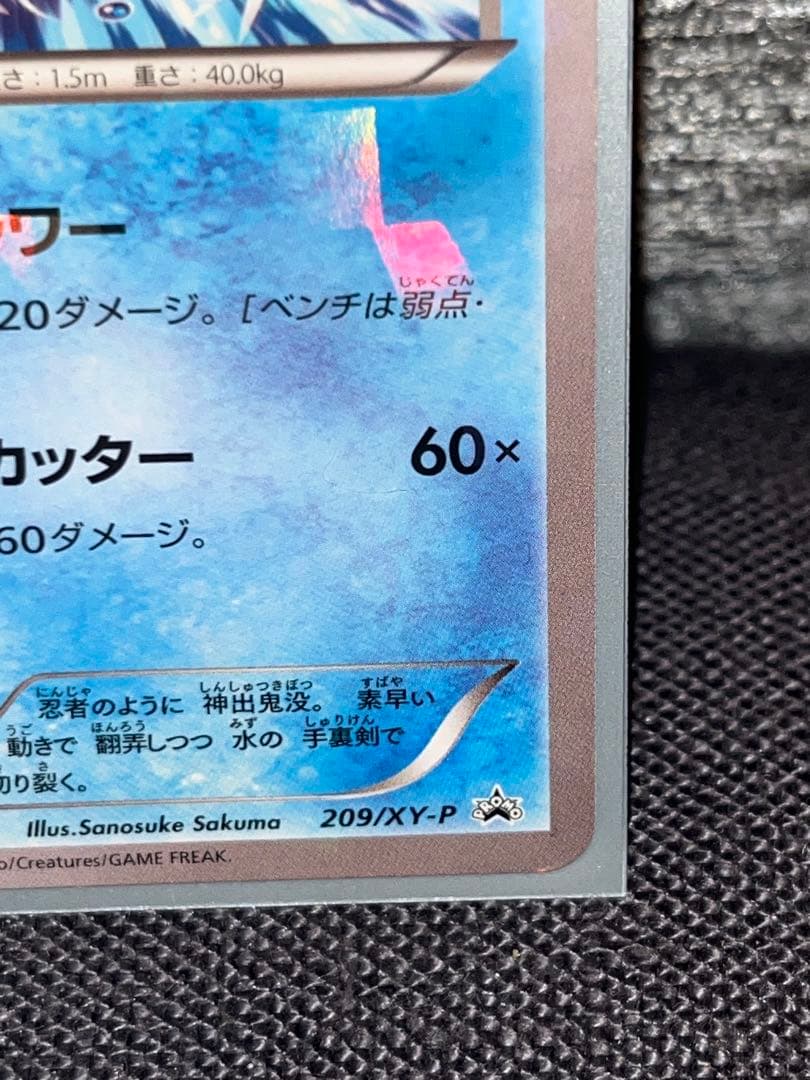 【プロモ】ゲッコウガ 209/XY-P 2枚セット