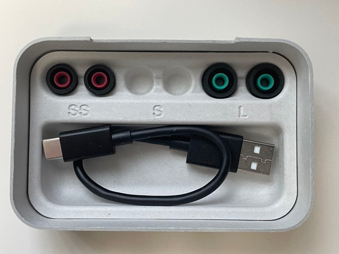 SONY WF-1000XM5（純正イヤピのおまけ付）