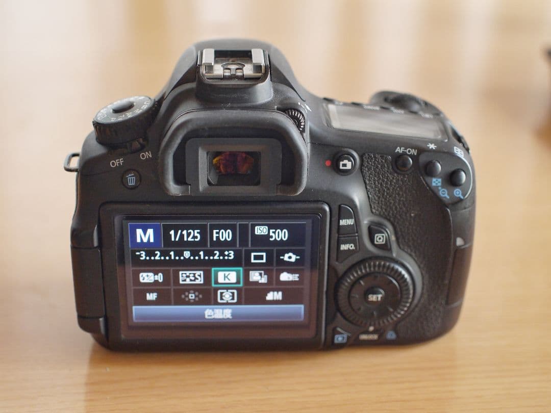 Canon EOS 60D キズ大有り動作品 シャッターカウント22016回