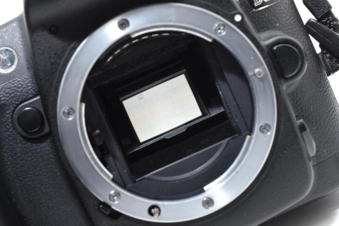 ★美品★Nikon ニコン D80 ボディ #21791