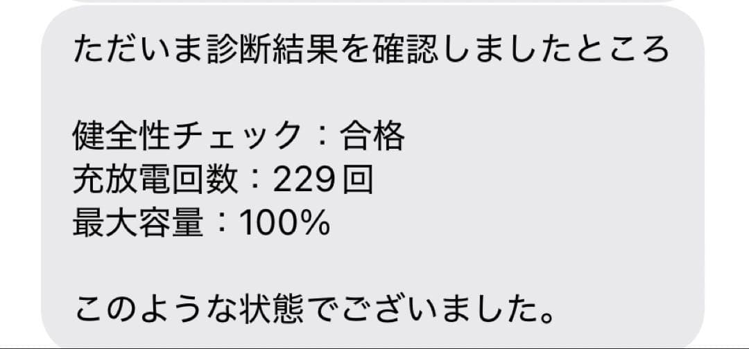 iPad mini6・最大容量100%・WiFi・64GB