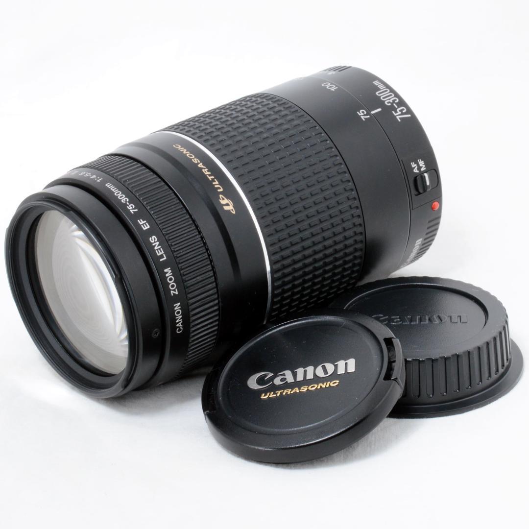 ⭐️美品⭐️Canon キャノン EF 75-300mm F4-5.6 ⅢUSM