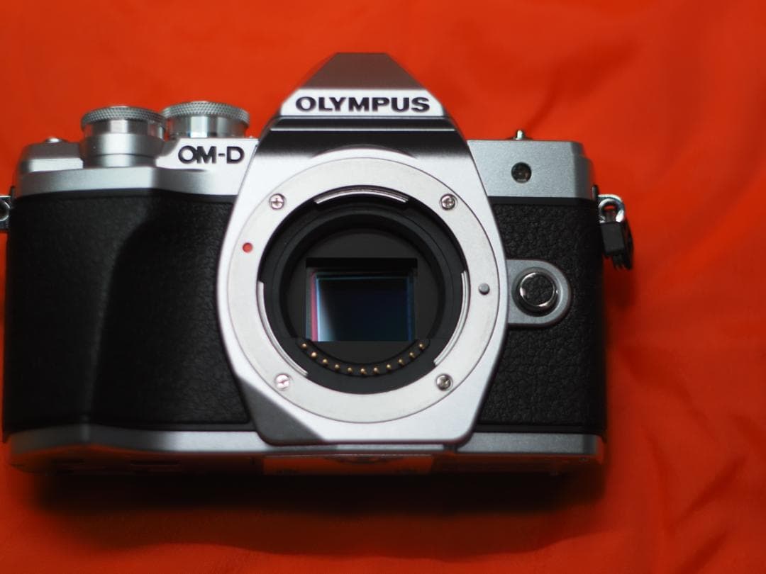 シャッター数2216 OM-D E-M10 Mark III グリップ付き
