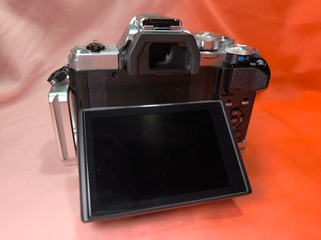 シャッター数2216 OM-D E-M10 Mark III グリップ付き