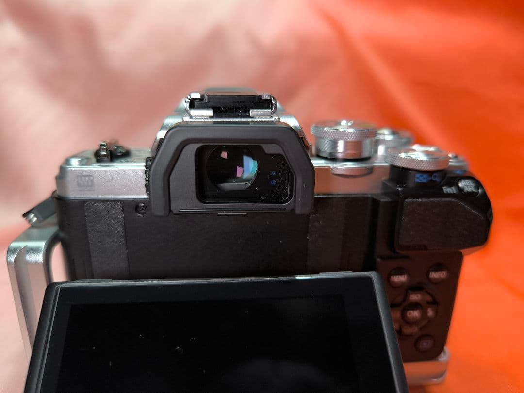 シャッター数2216 OM-D E-M10 Mark III グリップ付き