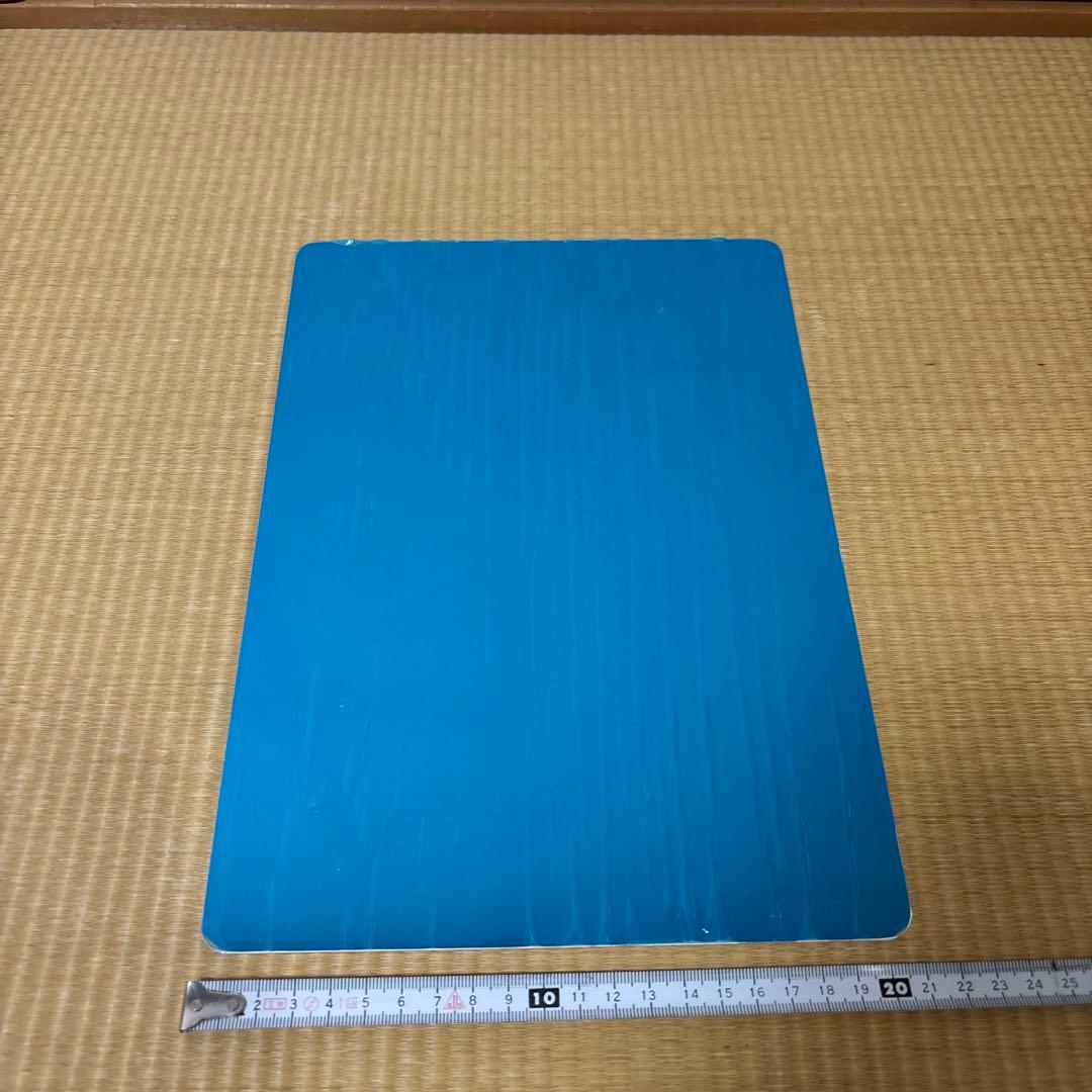 ハリネズミ 小動物 スターターセット 飼育セット