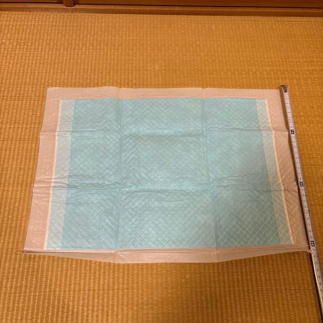 ハリネズミ 小動物 スターターセット 飼育セット