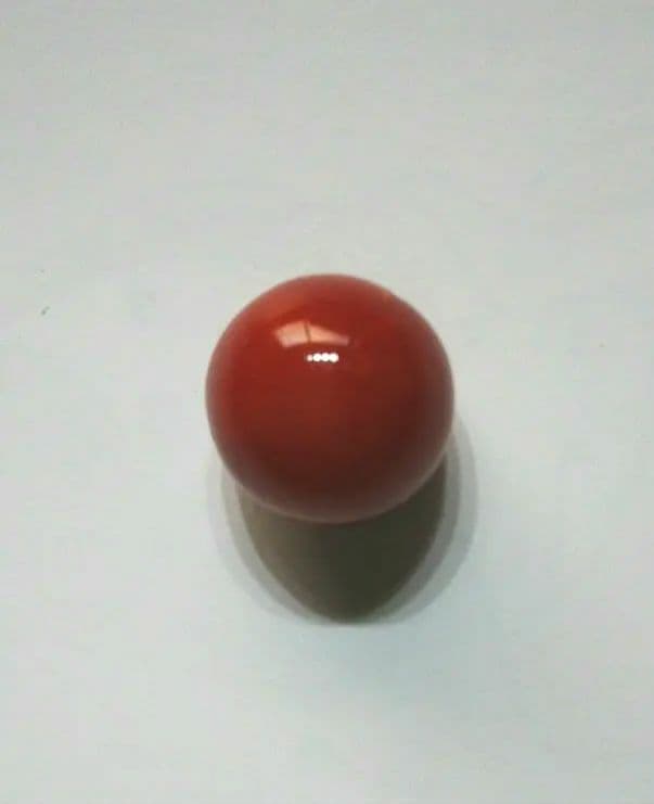 珊瑚玉
