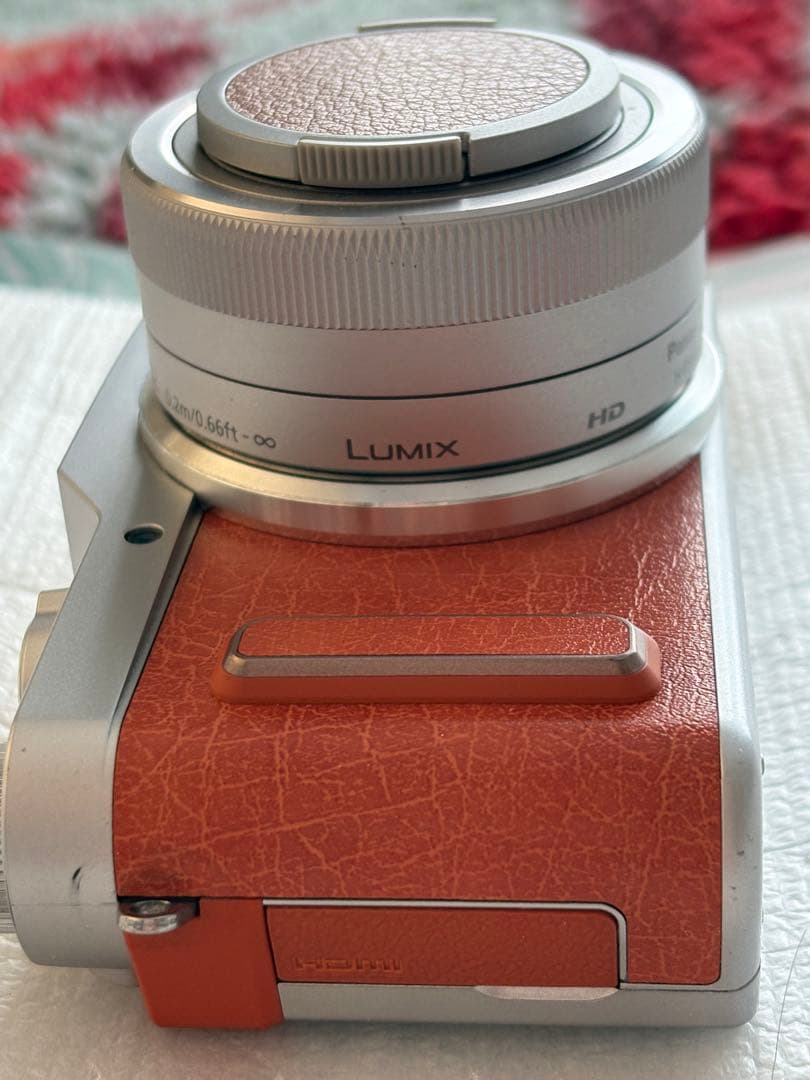 Panasonic DＣーGF10Wダブルレンズキット