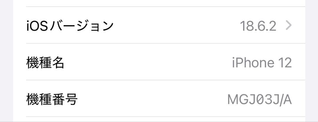 iPhone 12 256GB SIMフリー