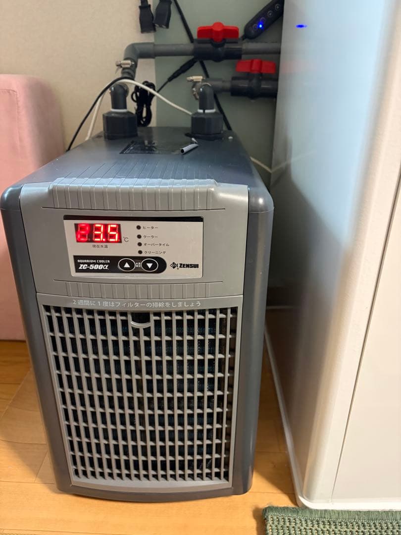 ZENSUI ZC-500α クーラー 450L 2024年3月21日購入