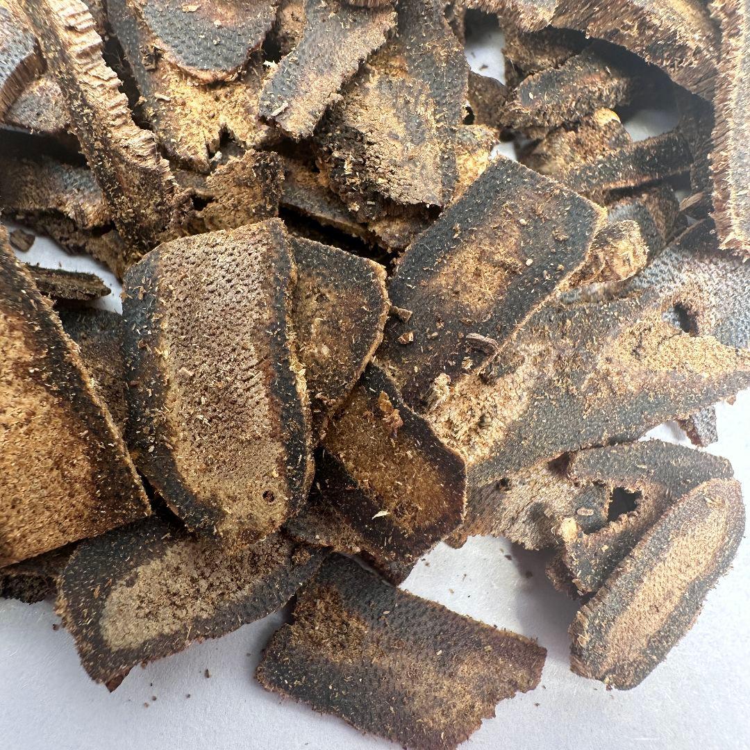 R031 極上伽羅 沈香 香木 20.0g
