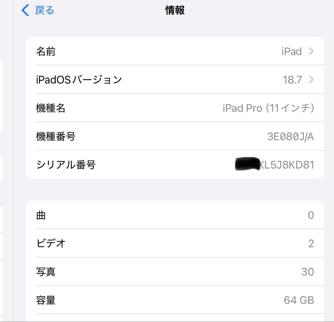 iPad pro 11インチ 初代 64GB Wi-Fi+Cellularモデル