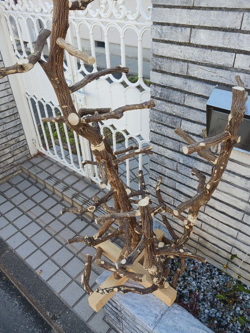 バードアスレチック、バードアスレチックジム 止まり木、小鳥、No.504
