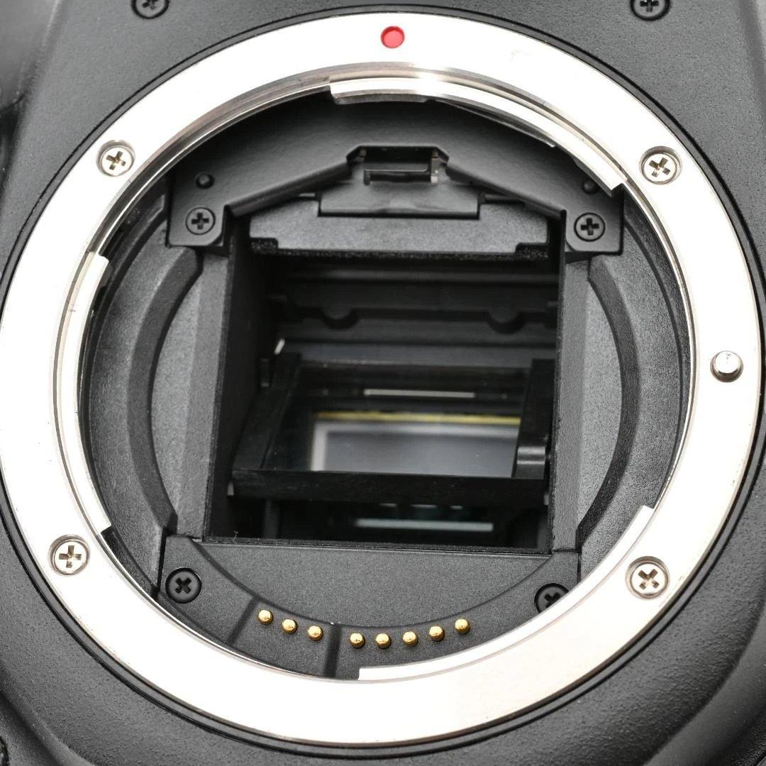 【ほぼ新品・ショット数：4473回】 Canon EOS 50D ボディ
