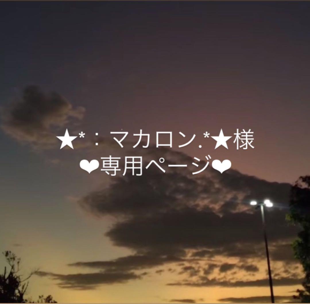‪‪❤︎‬専用‪‪❤︎‬【4点】【チップ変更】【サイズ変更】【デザイン変更】