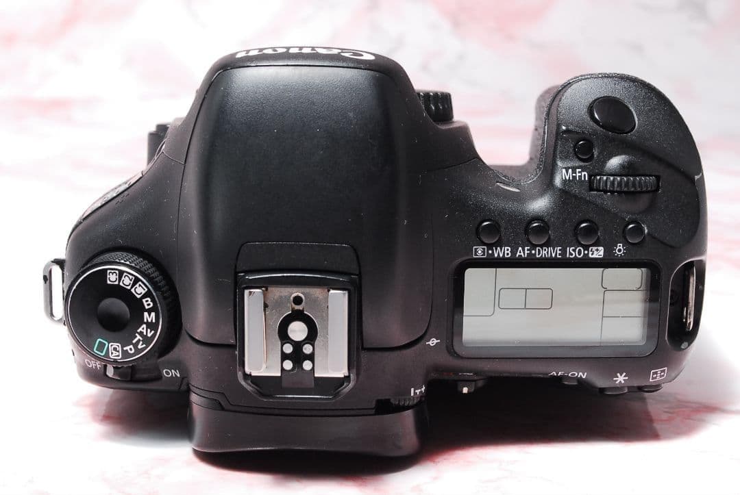 ✨Canon EOS 7D✨標準+超望遠Wレンズ 高速連写 本格撮影 初心者最適