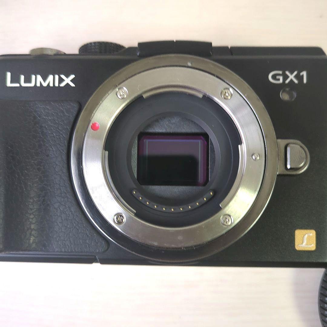 LUMIX GX1 ミラーレスカメラ レンズ付き