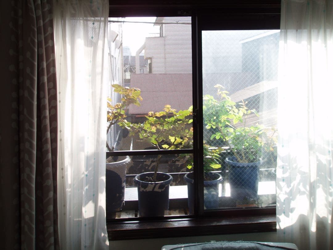 OLYMPUS μ-40 digital コンデジ CCD 動作品