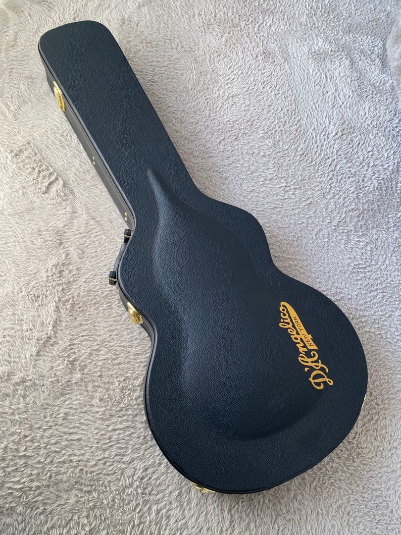 新品同様美品　ディアンジェリコ Excel DC Stairstep Viola