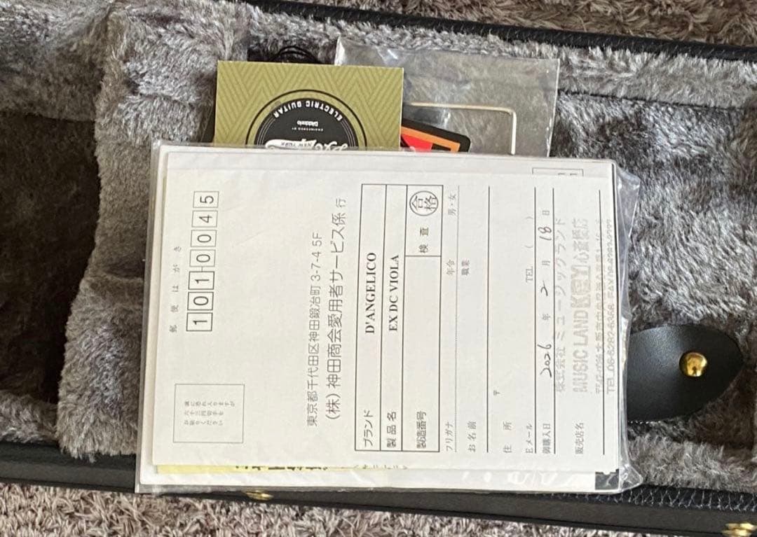 新品同様美品　ディアンジェリコ Excel DC Stairstep Viola