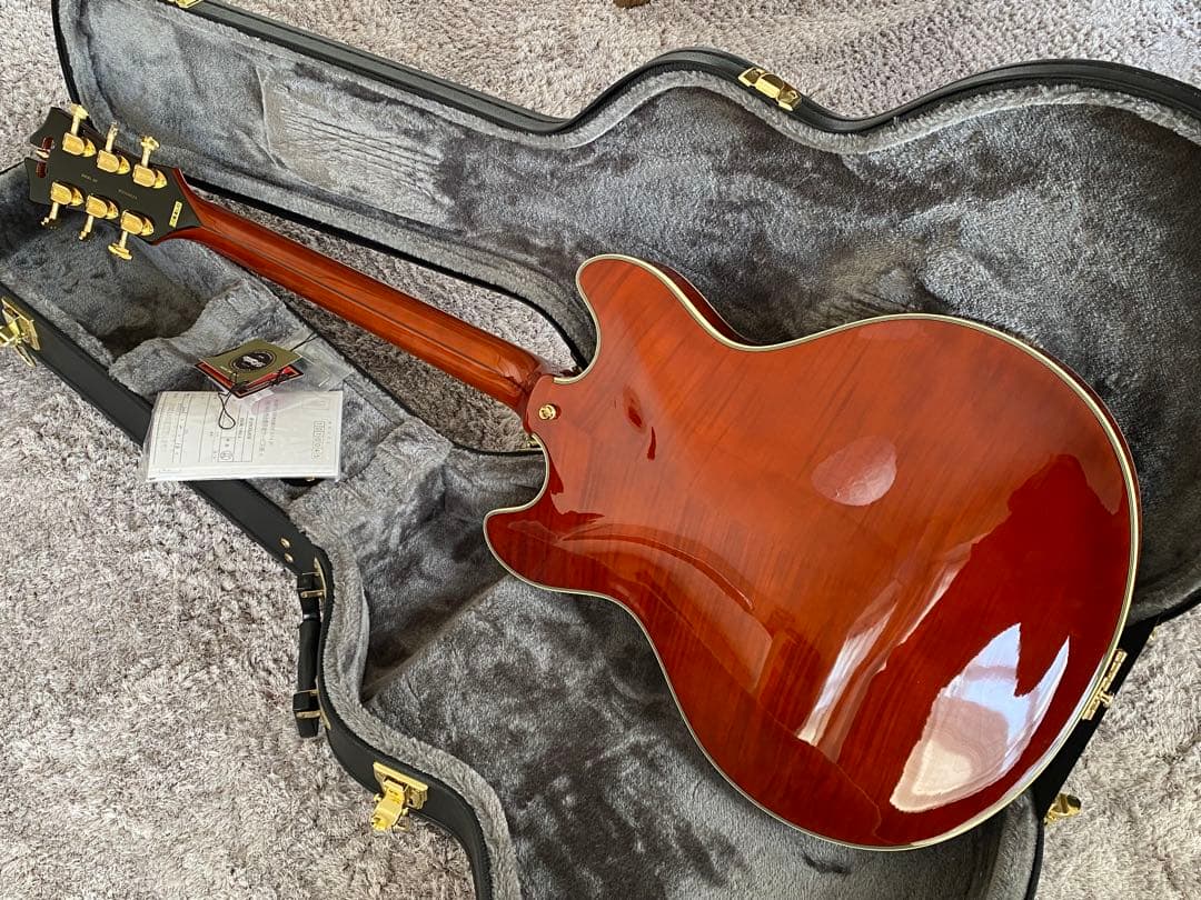 新品同様美品　ディアンジェリコ Excel DC Stairstep Viola