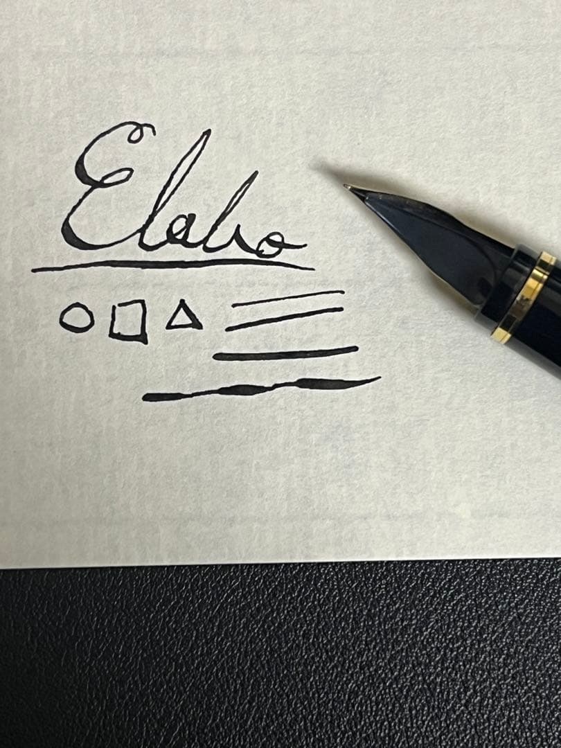 Pilot パイロット Elabo エラボー 万年筆 ブラック 金属軸 調整品