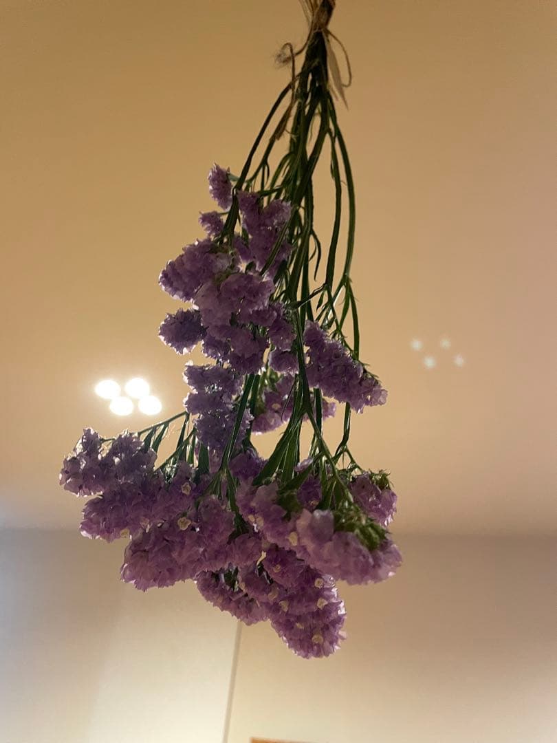 ドライフラワースワッグ５点　フライングスワッグ３点おまとめ