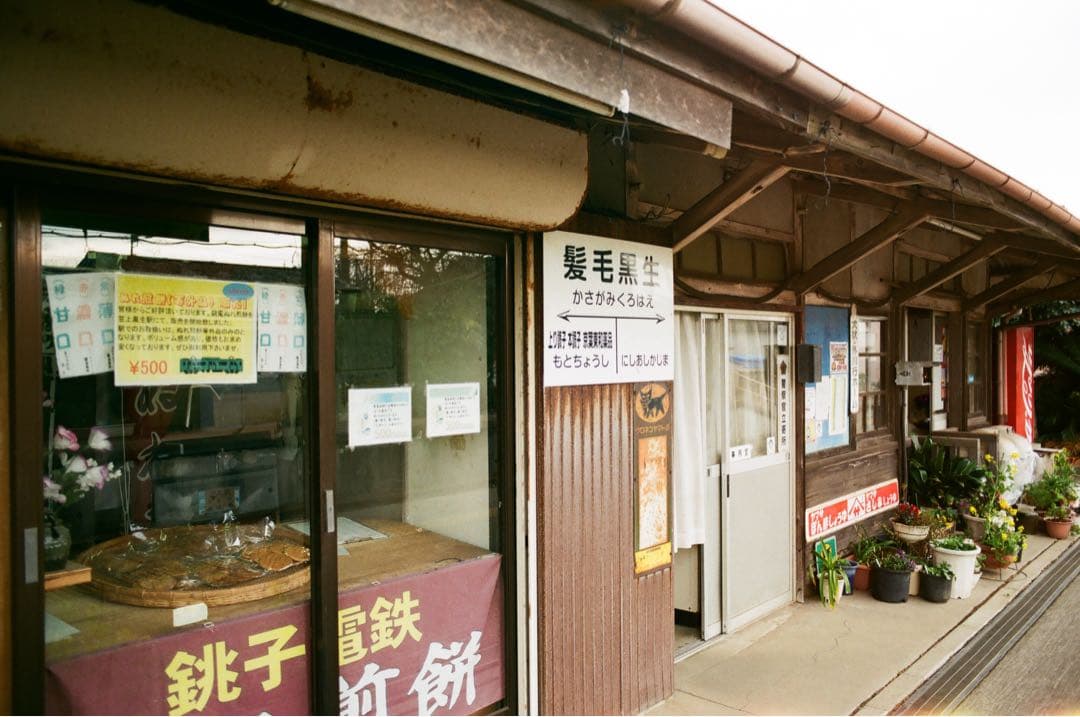 Nikon F3 フィルム一眼レフカメラ　実写作例あり