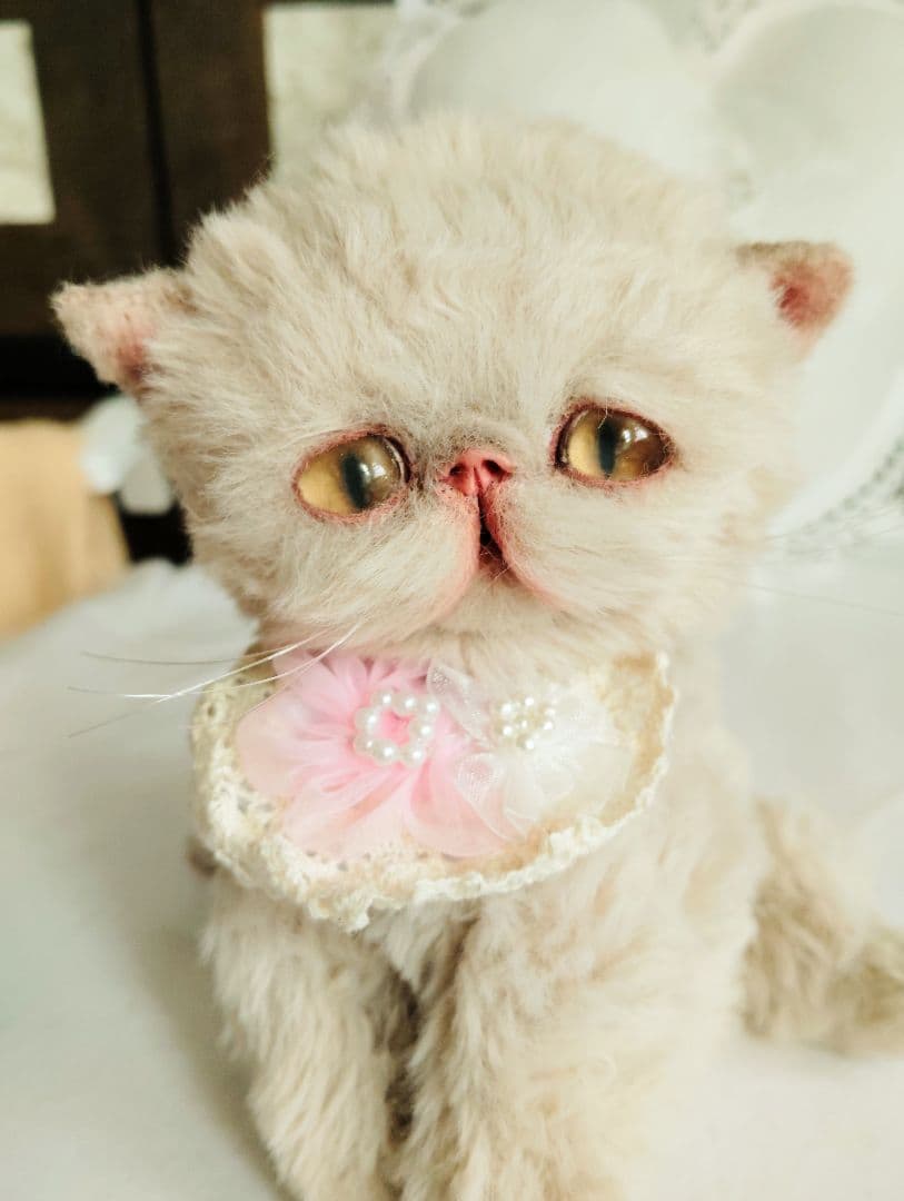 ちょっぴり癖っ毛♡ころころボディ♡エキゾチック子猫ちゃん♡アートドールぬいぐるみ