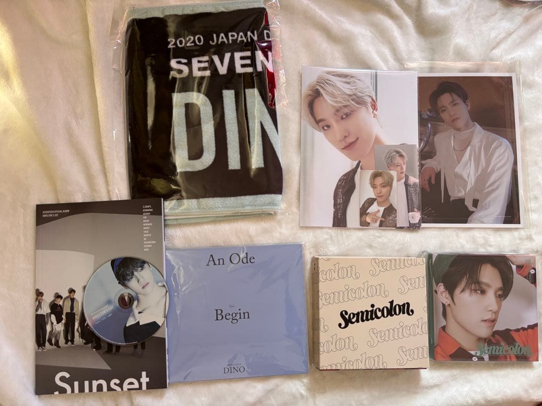 SEVENTEEN ディノ　トレカ　グッズ　まとめ売り