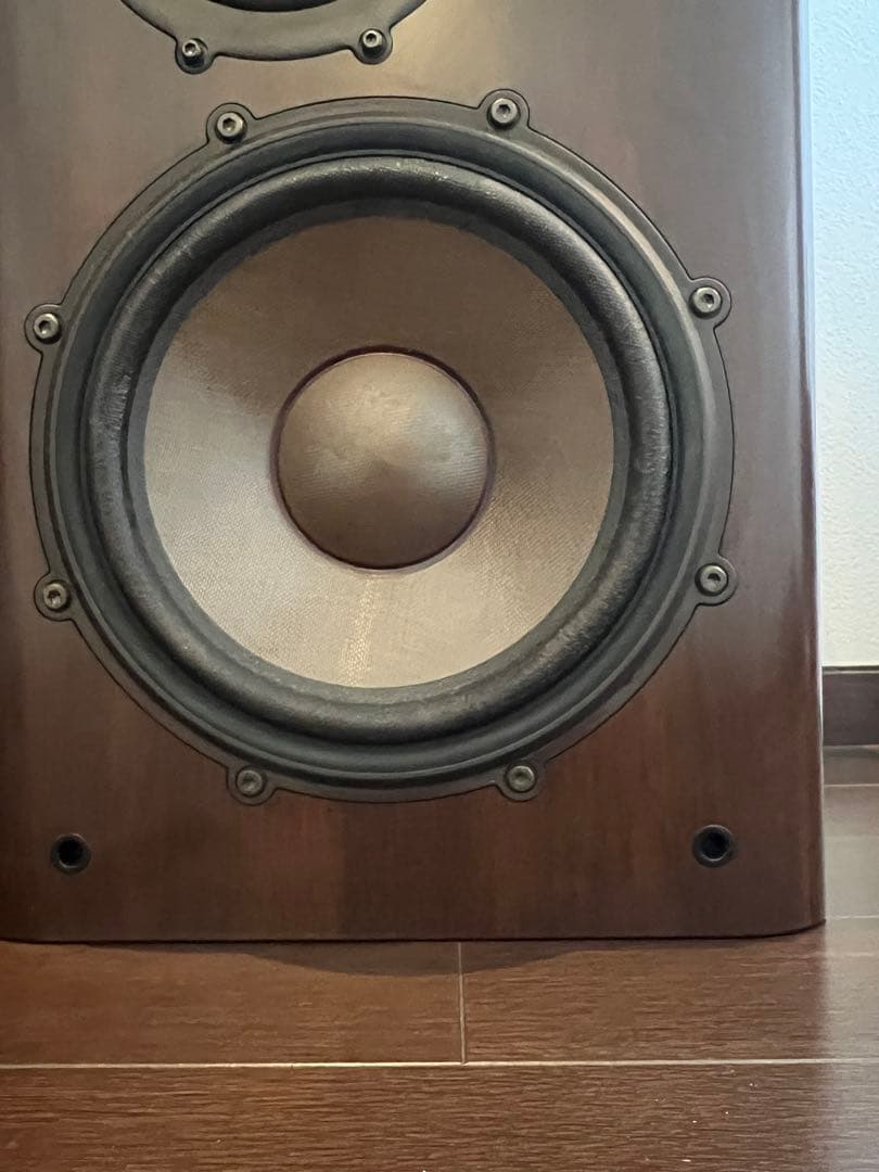 タケポン ①左 2点同時購入必須 DIATONE DS-1000Z
