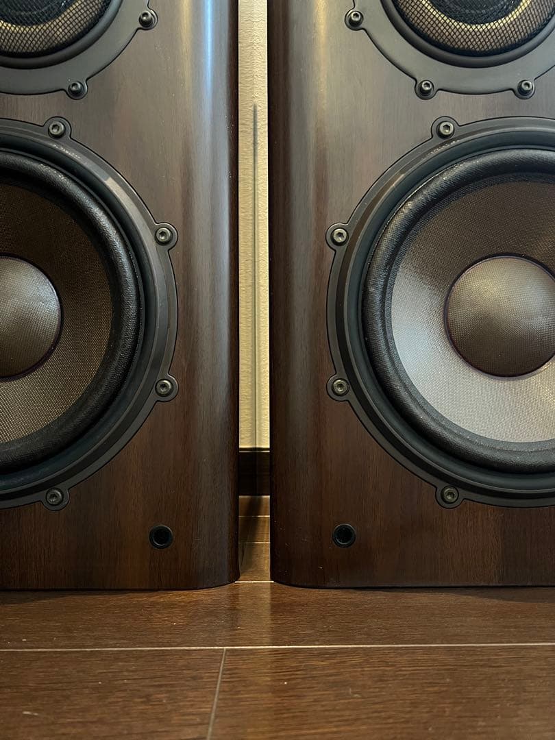タケポン ①左 2点同時購入必須 DIATONE DS-1000Z